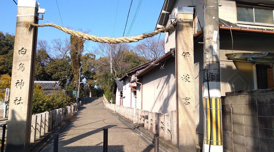 ⛩️ 백조 신사(시라토리 진자) 이미지 2